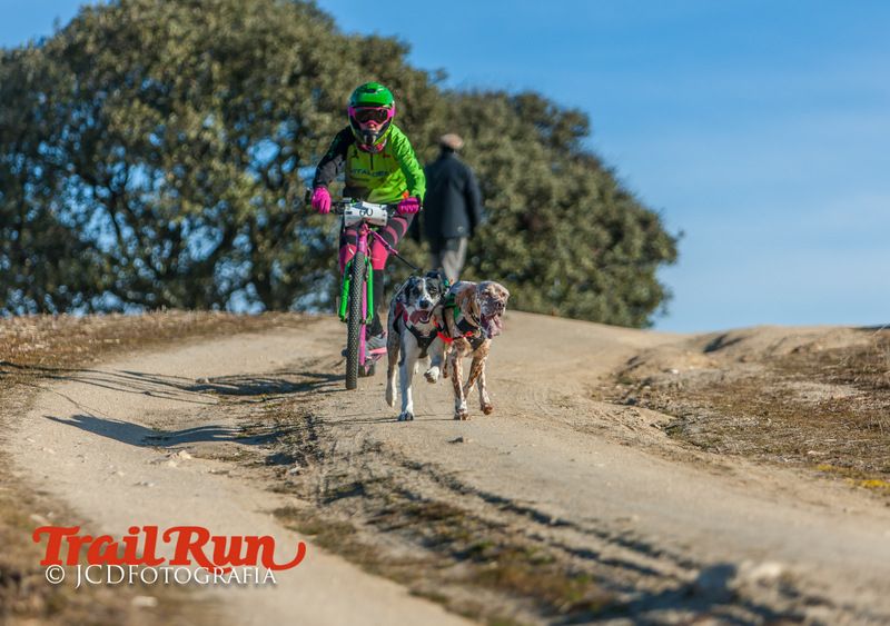 Campeonato de España de Mushing 2017