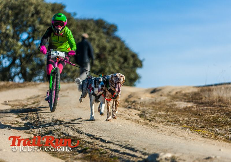 Campeonato de España de Mushing 2017