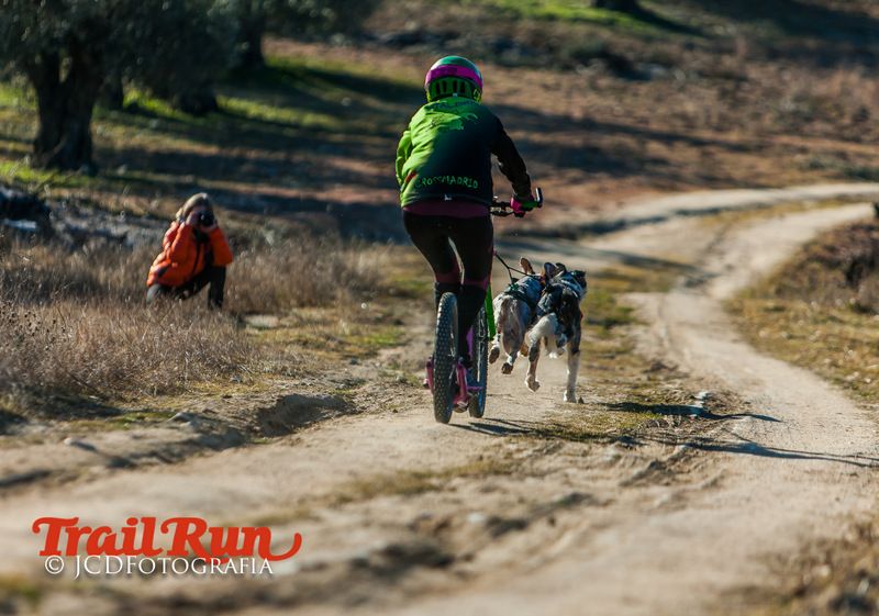 Campeonato de España de Mushing 2017