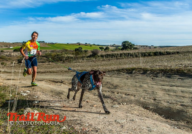 Campeonato de España de Mushing 2017