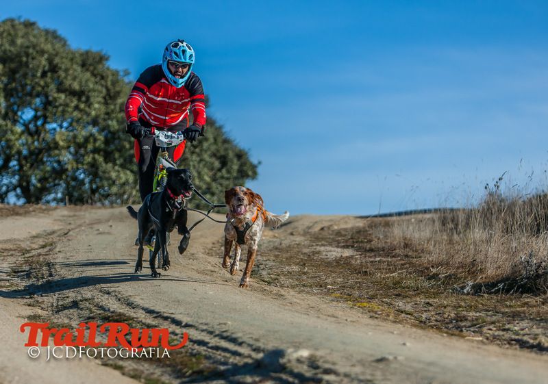 Campeonato de España de Mushing 2017