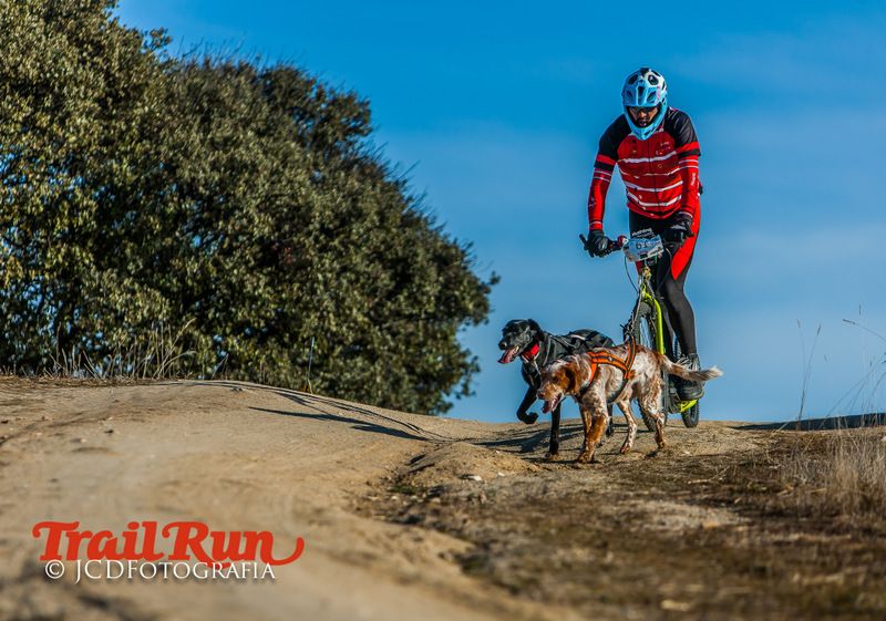 Campeonato de España de Mushing 2017