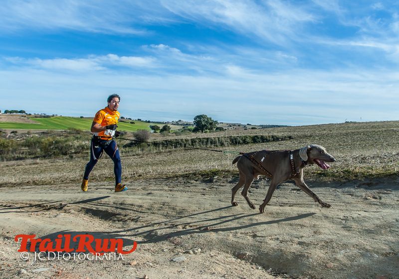 Campeonato de España de Mushing 2017