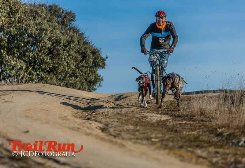 Campeonato de España de Mushing 2017