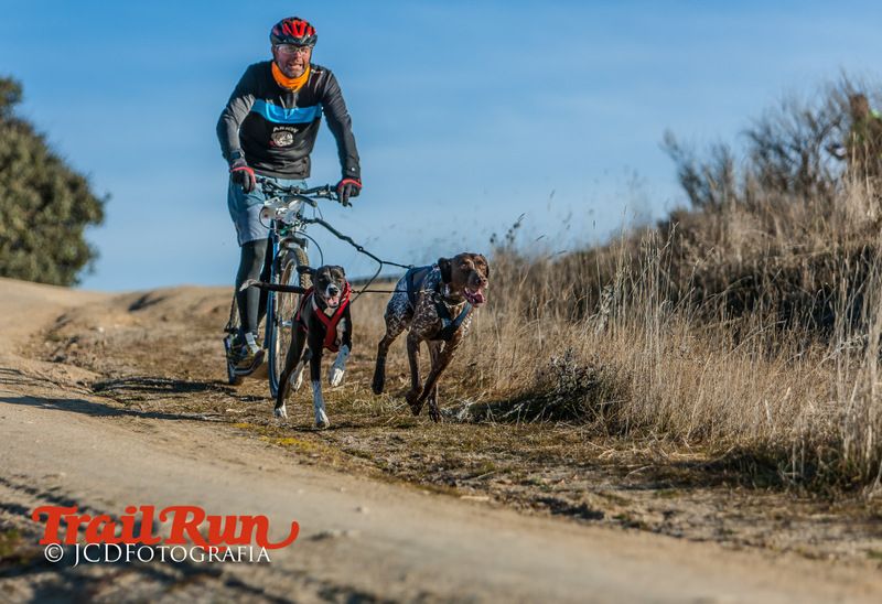 Campeonato de España de Mushing 2017