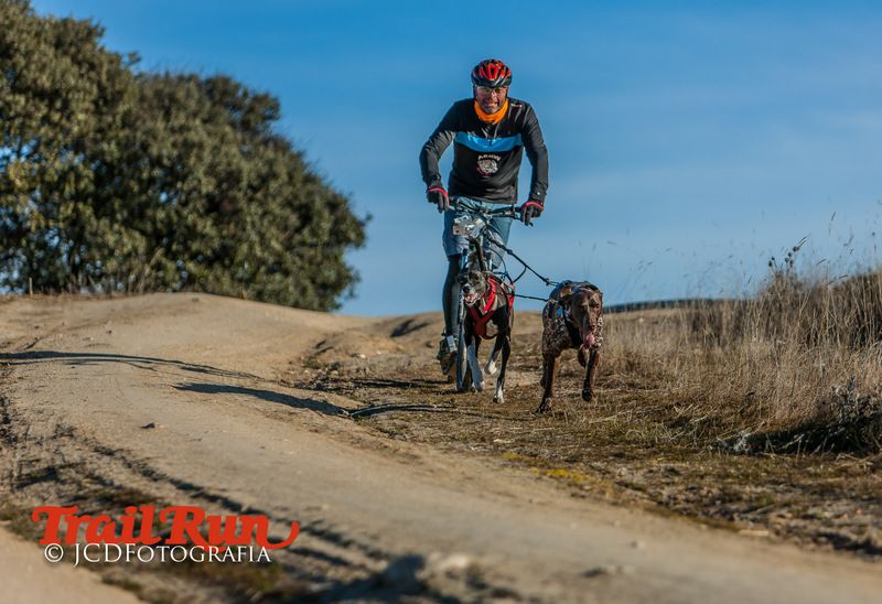Campeonato de España de Mushing 2017