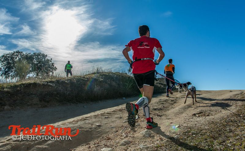 Campeonato de España de Mushing 2017