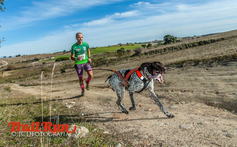 Campeonato de España de Mushing 2017