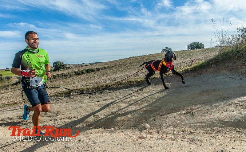 Campeonato de España de Mushing 2017