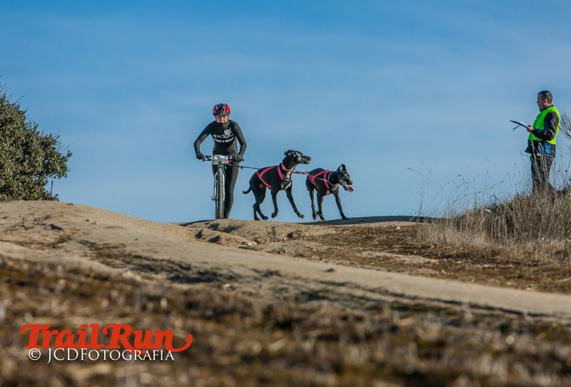 Campeonato de España de Mushing 2017