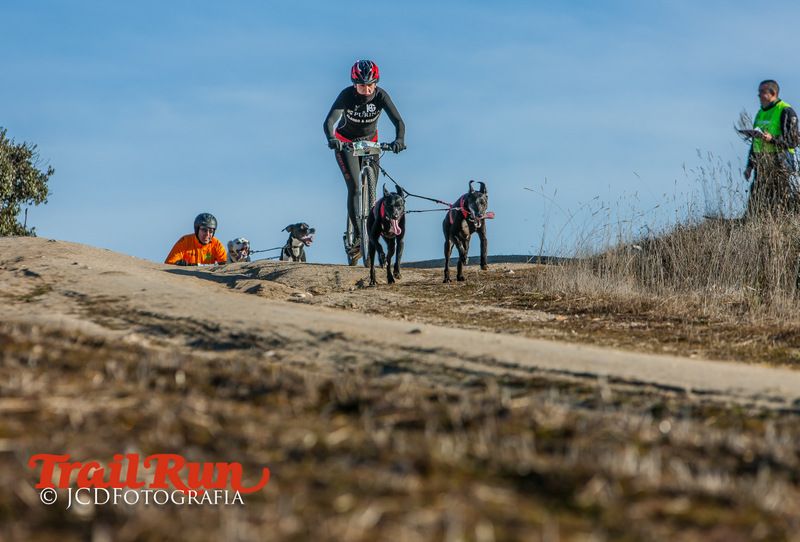 Campeonato de España de Mushing 2017