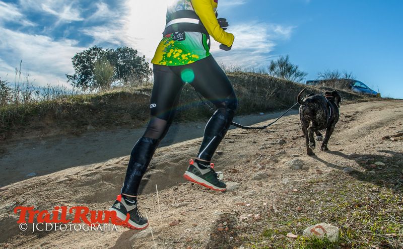 Campeonato de España de Mushing 2017