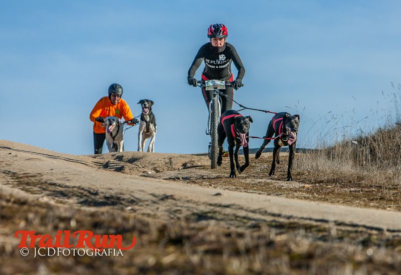 Campeonato de España de Mushing 2017
