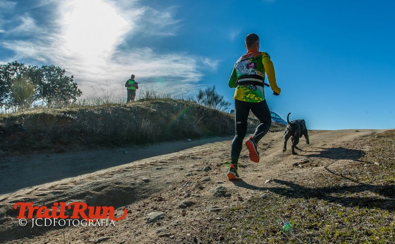 Campeonato de España de Mushing 2017