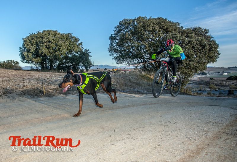 Campeonato de España de Mushing 2017