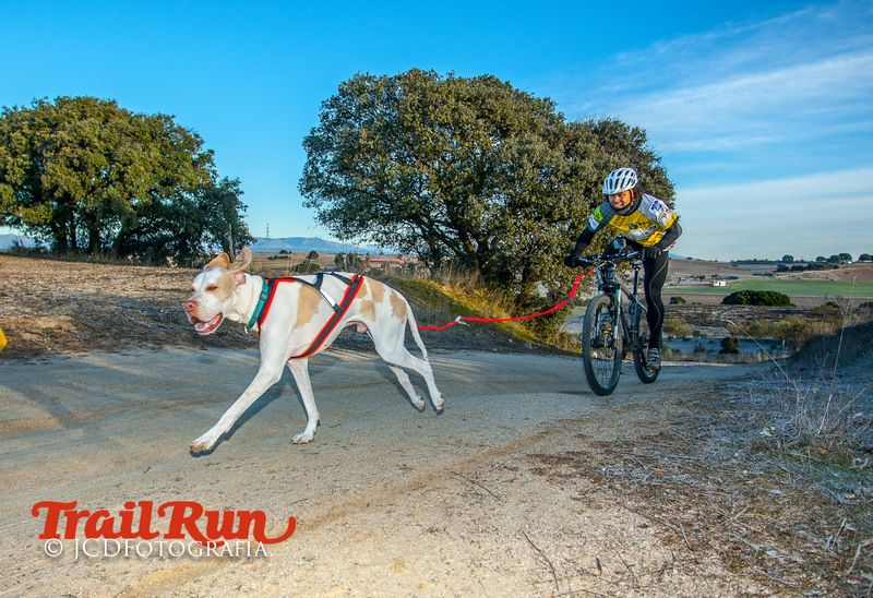 Campeonato de España de Mushing 2017