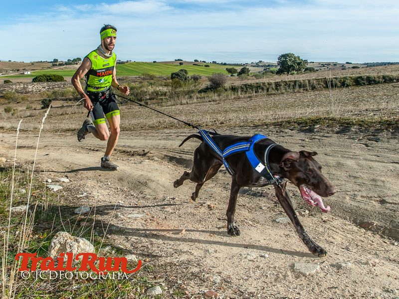 Campeonato de España de Mushing 2017