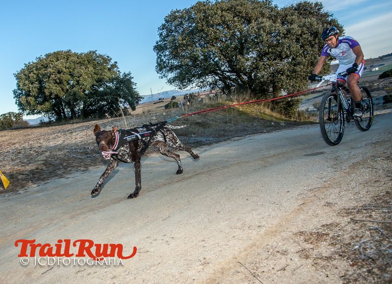 Campeonato de España de Mushing 2017