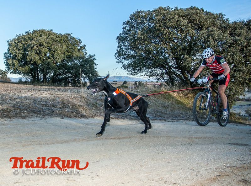 Campeonato de España de Mushing 2017