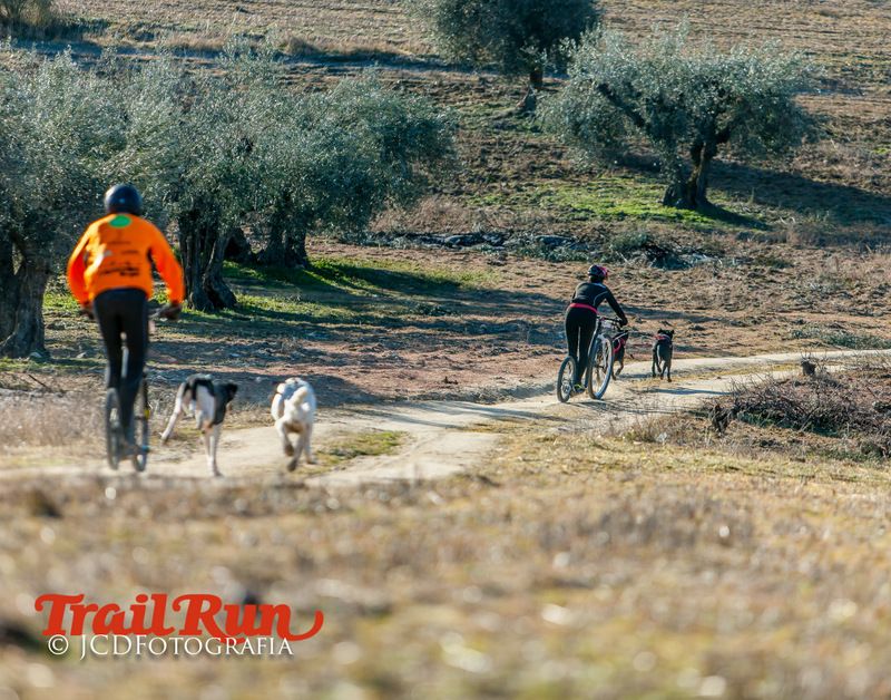 Campeonato de España de Mushing 2017
