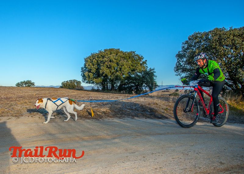Campeonato de España de Mushing 2017