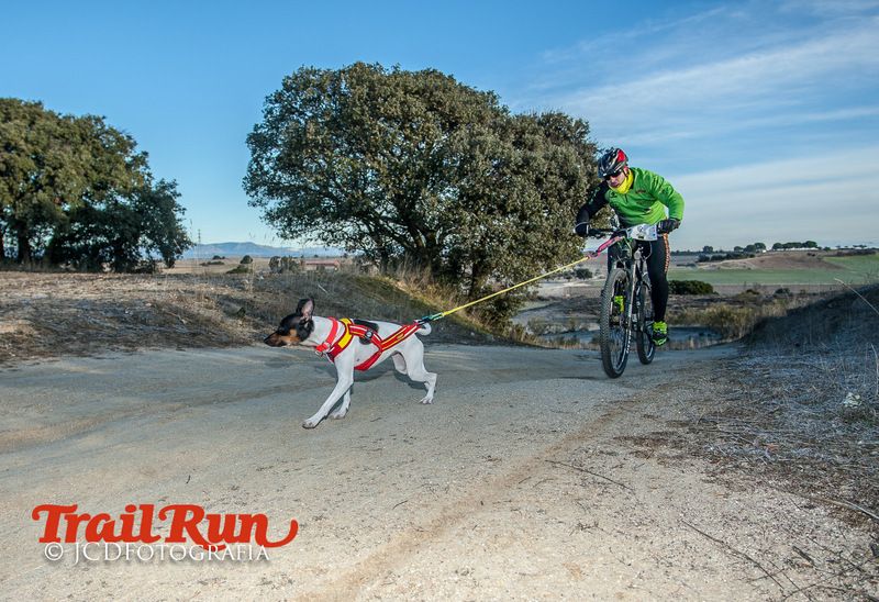 Campeonato de España de Mushing 2017