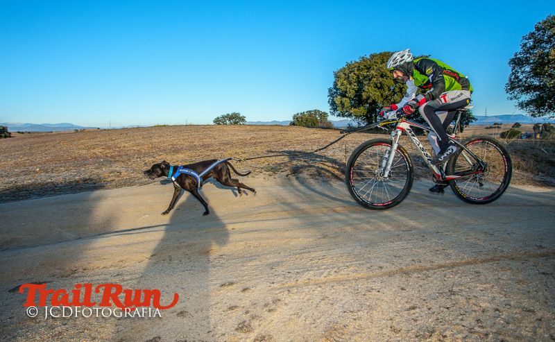 Campeonato de España de Mushing 2017
