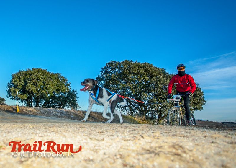 Campeonato de España de Mushing 2017