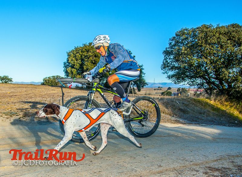 Campeonato de España de Mushing 2017