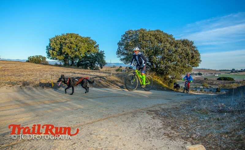 Campeonato de España de Mushing 2017