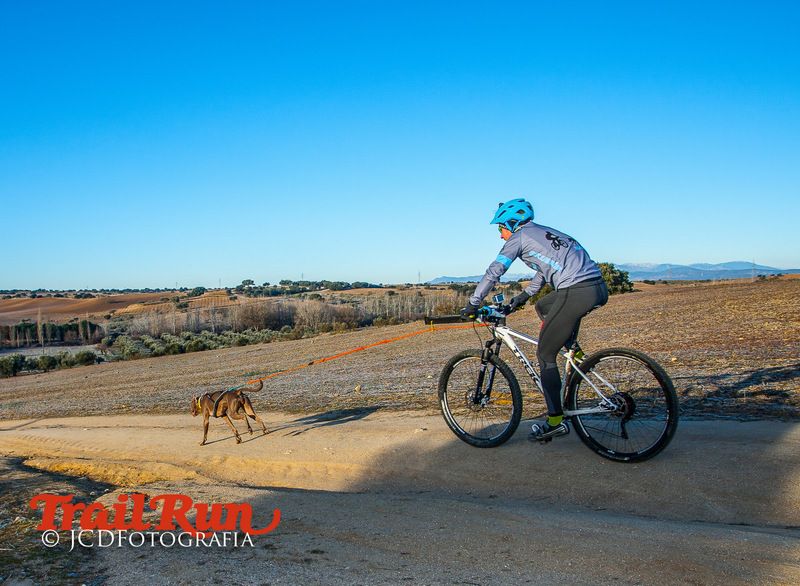 Campeonato de España de Mushing 2017