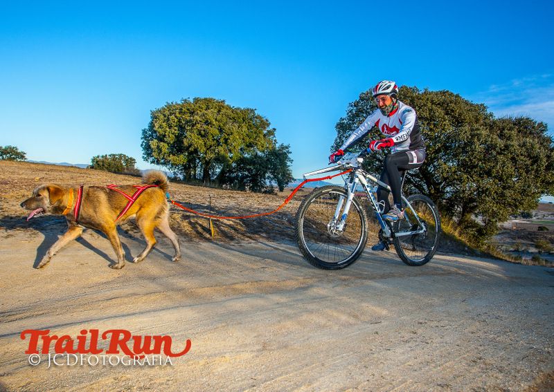 Campeonato de España de Mushing 2017