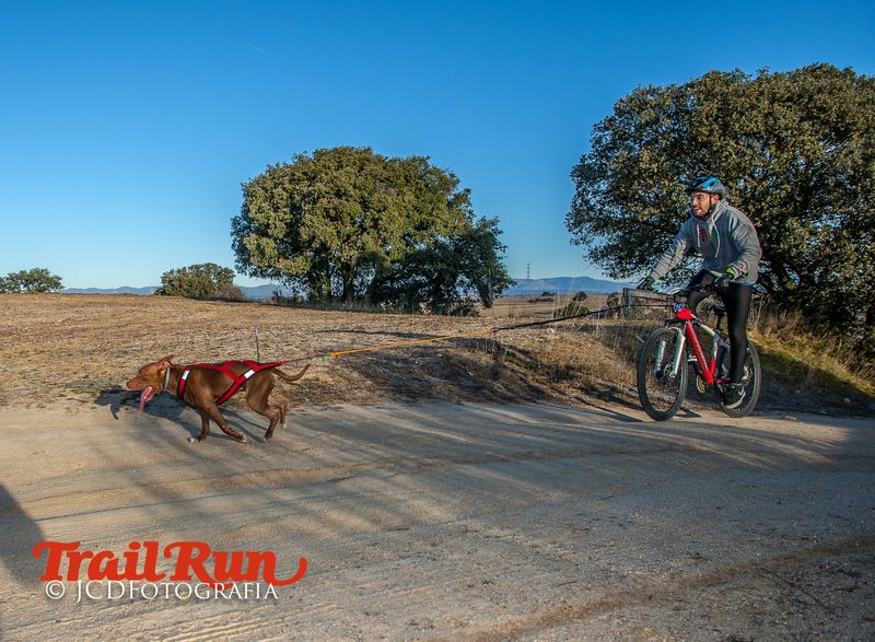Campeonato de España de Mushing 2017