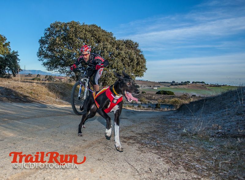 Campeonato de España de Mushing 2017