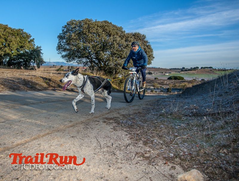Campeonato de España de Mushing 2017