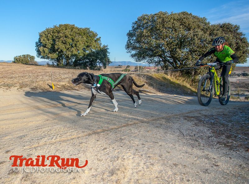 Campeonato de España de Mushing 2017