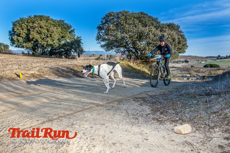 Campeonato de España de Mushing 2017