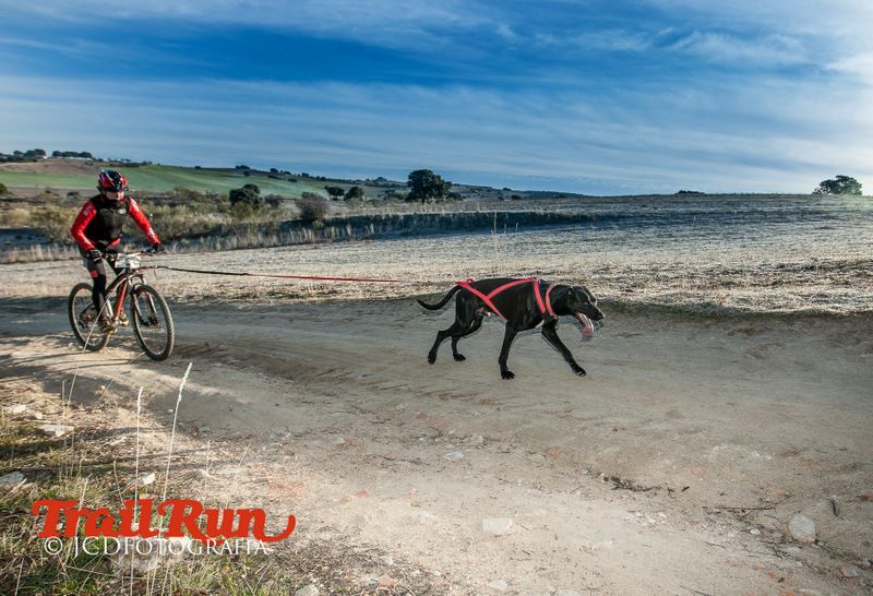 Campeonato de España de Mushing 2017