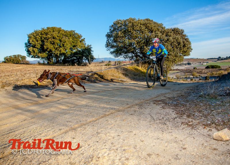 Campeonato de España de Mushing 2017