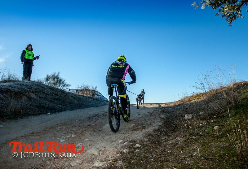 Campeonato de España de Mushing 2017