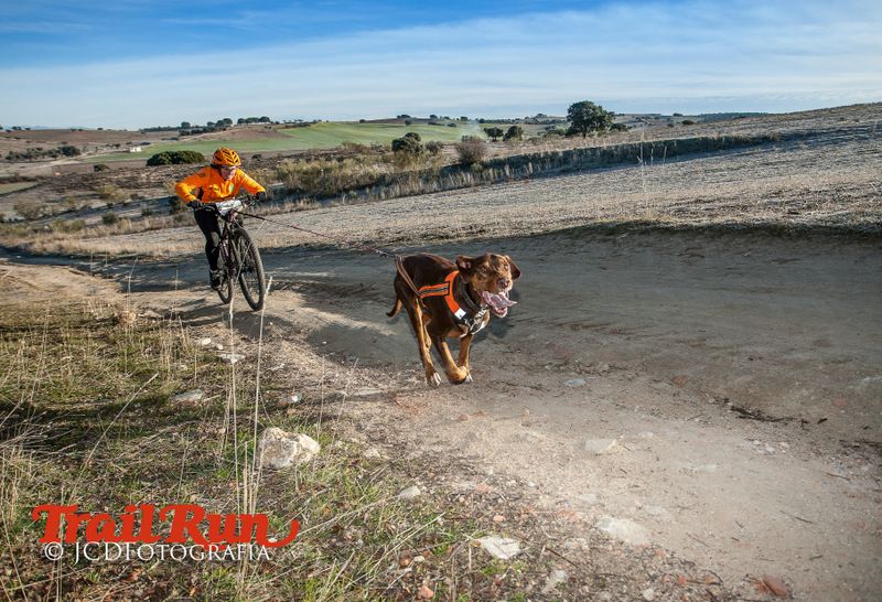 Campeonato de España de Mushing 2017