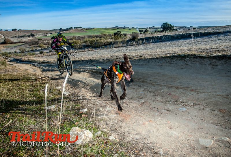 Campeonato de España de Mushing 2017