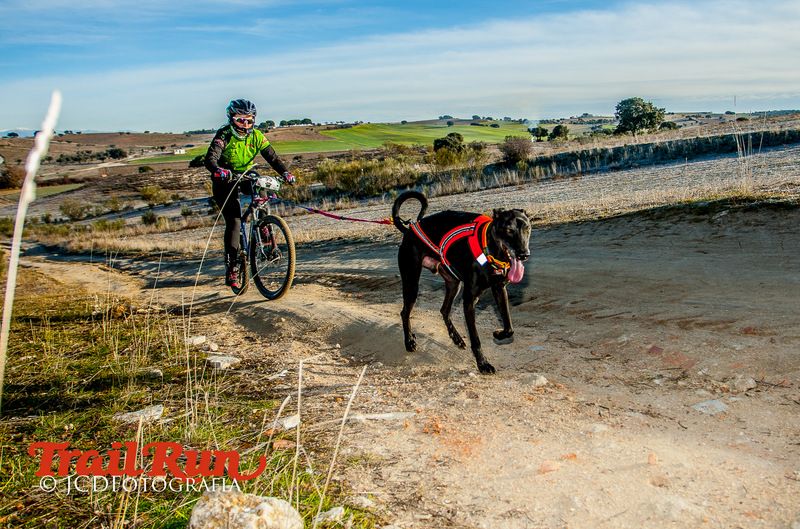Campeonato de España de Mushing 2017