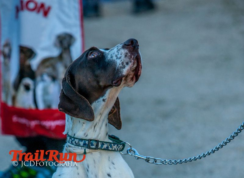 Campeonato de España de Mushing 2017