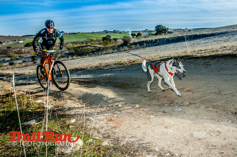 Campeonato de España de Mushing 2017