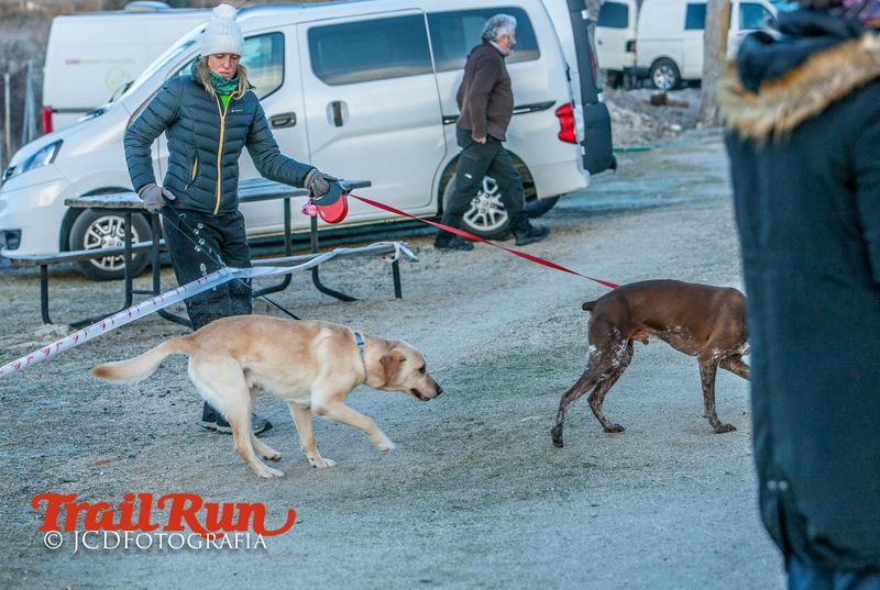 Campeonato de España de Mushing 2017