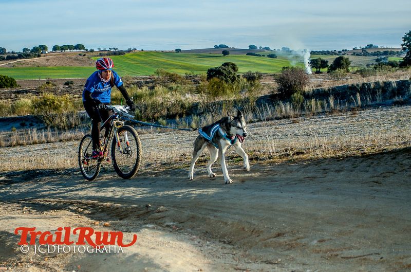 Campeonato de España de Mushing 2017