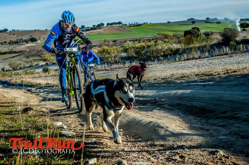 Campeonato de España de Mushing 2017
