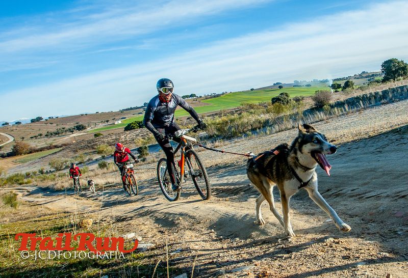 Campeonato de España de Mushing 2017