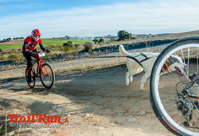Campeonato de España de Mushing 2017